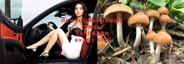 прущие крисы Алексин