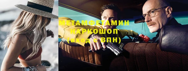 стаф Ельня