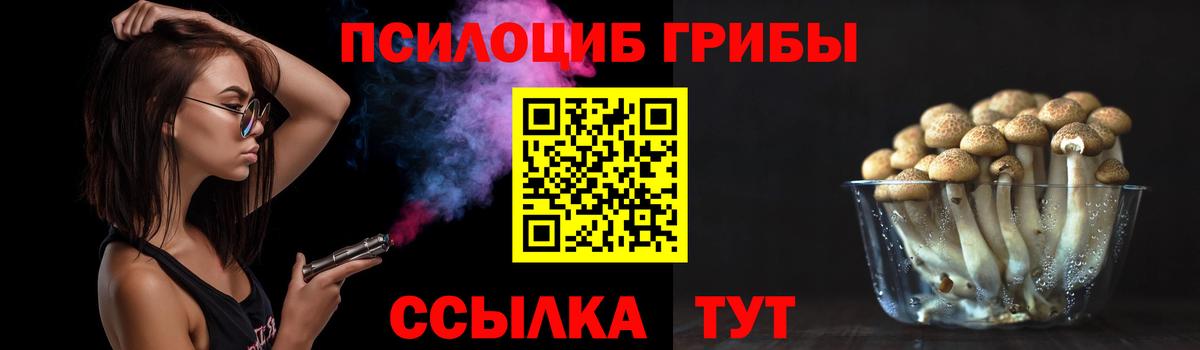 Старый Оскол  Псилоцибиновые грибы ЛСД  где купить наркотик  Вход с VPN 